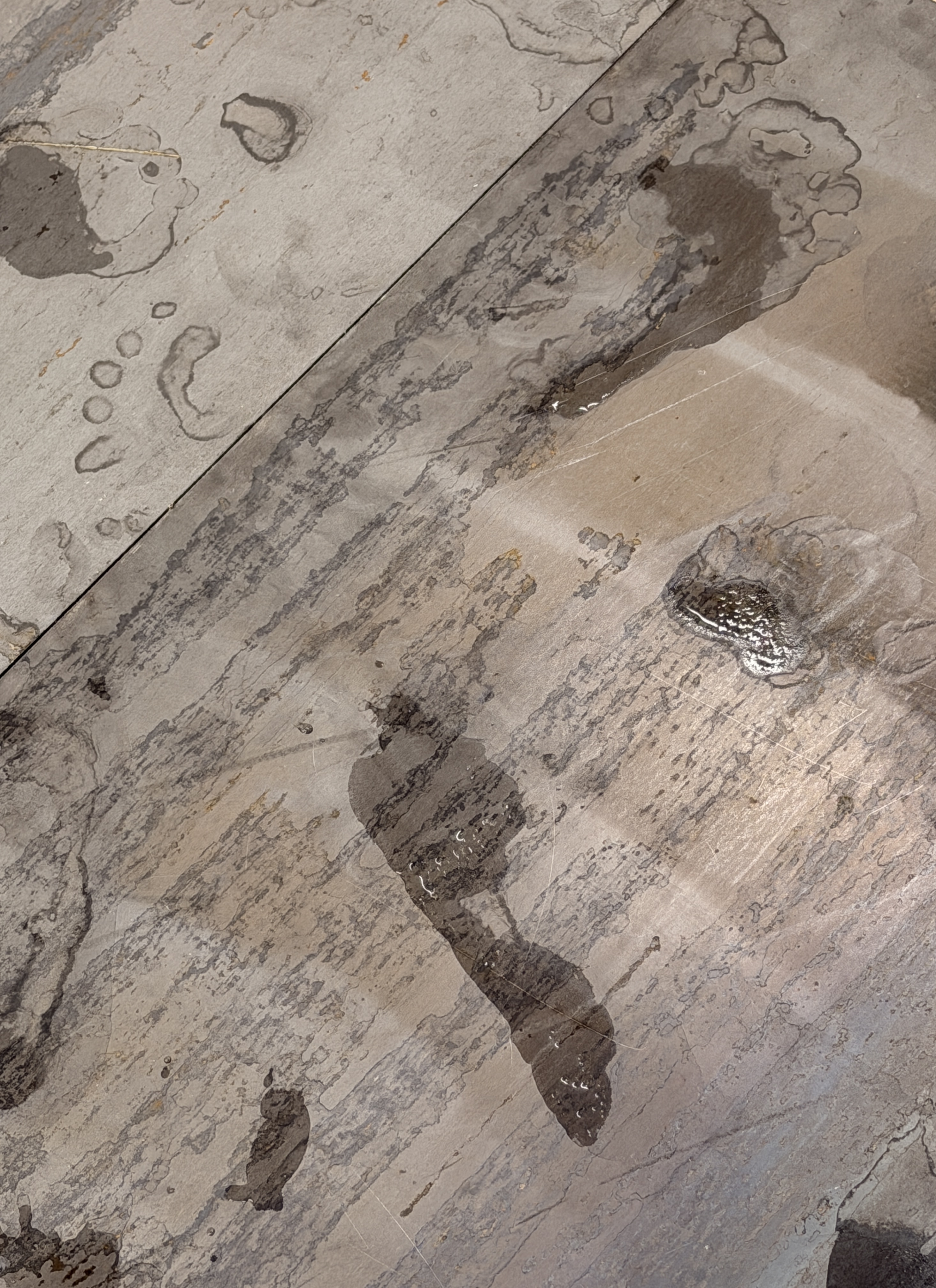 The Wake of the Body by oneg - ephemeral wet footprint traces on steel surface exploring presence and absence